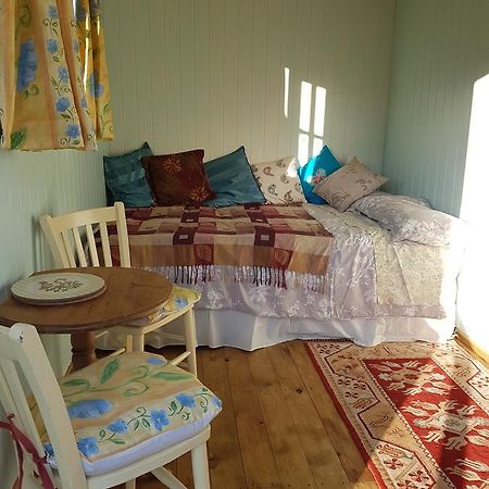 Shepherds Hut Dolly Wagon Keswick  Extérieur photo