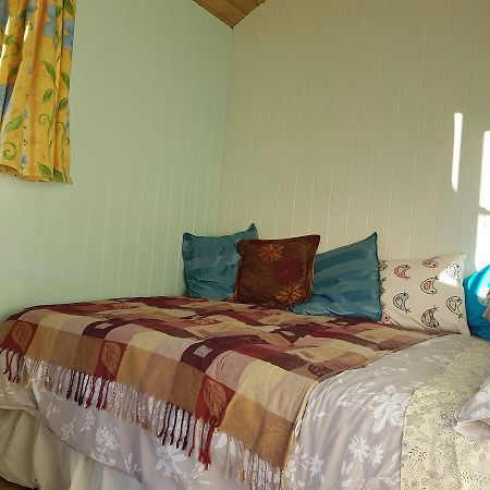 Shepherds Hut Dolly Wagon Keswick  Extérieur photo